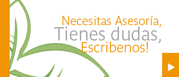 viveros_terra_pasto_en_rollo_plantas_jardineria_palmas