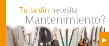 viveros_terra_pasto_en_rollo_plantas_jardineria_palmas