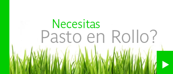 viveros_terra_pasto_en_rollo_plantas_jardineria_palmas