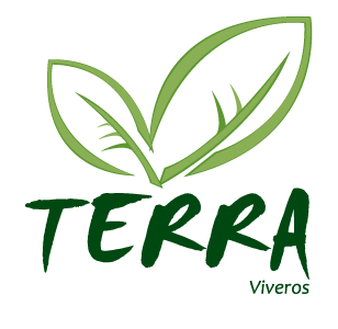 viveros_terra
